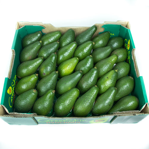 Avocado (Shepard) (Box)