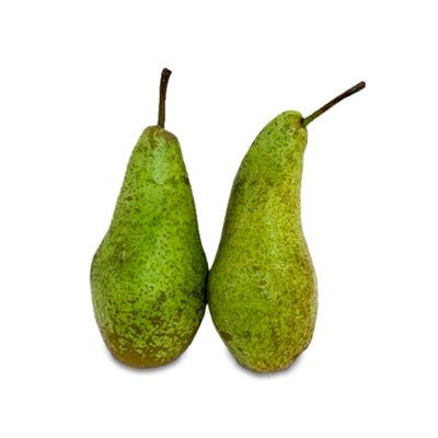 Conference Pear